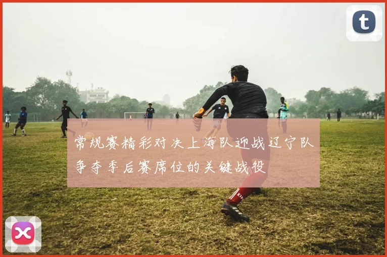 常规赛精彩对决上海队迎战辽宁队争夺季后赛席位的关键战役